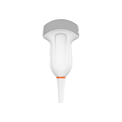 Sonde d’échographie pour modèle VPS-60