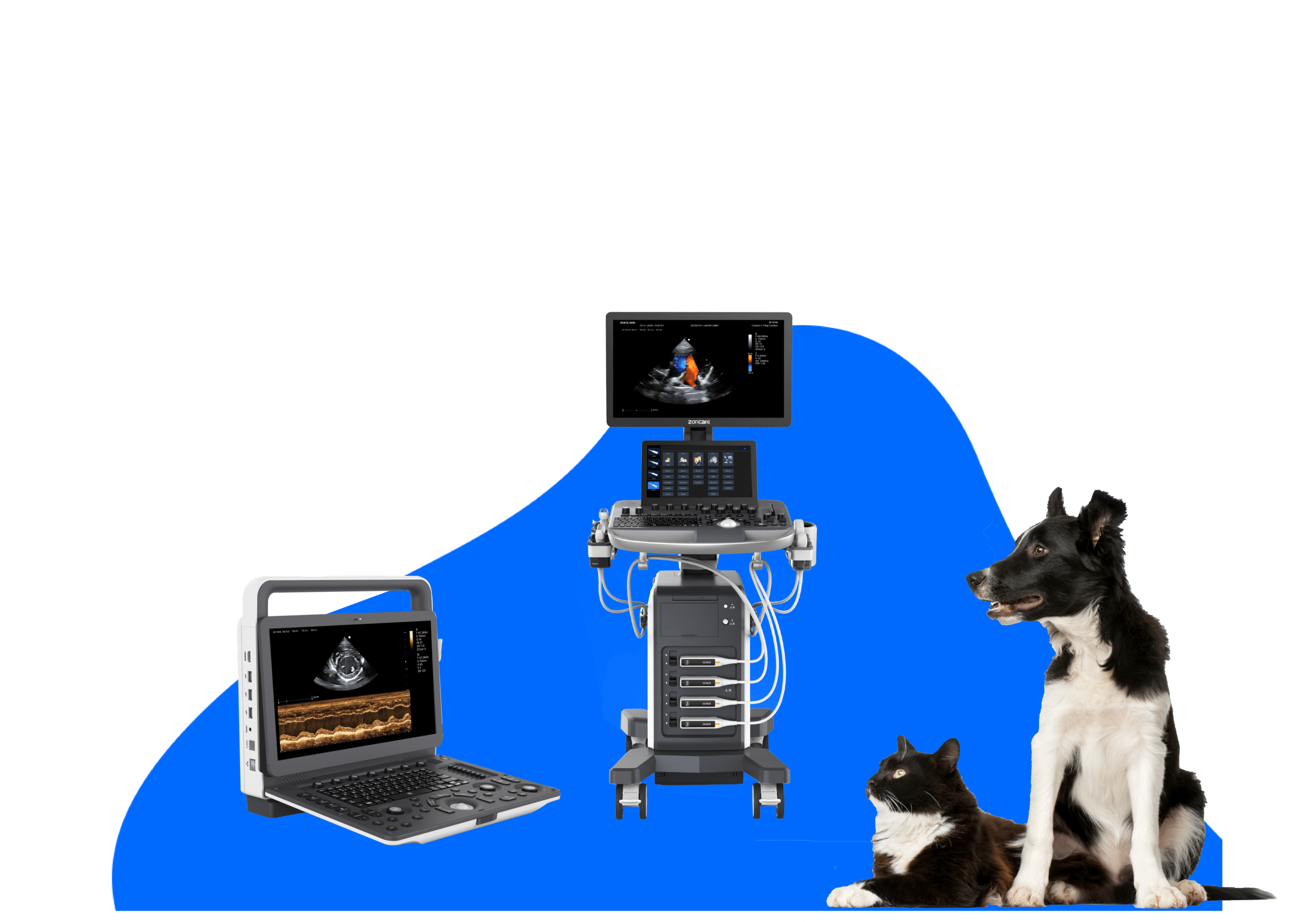 Accompagnement et formation (remise) pour la mise en service assurés par un formateur - Acadomvet 